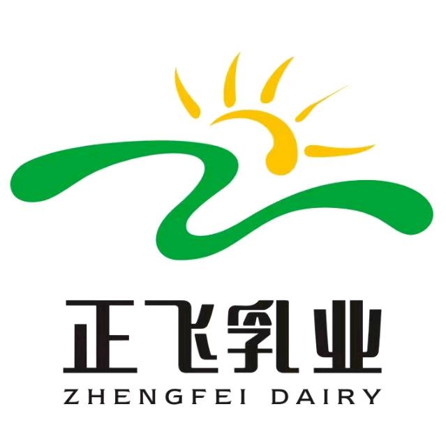 正飞企业店