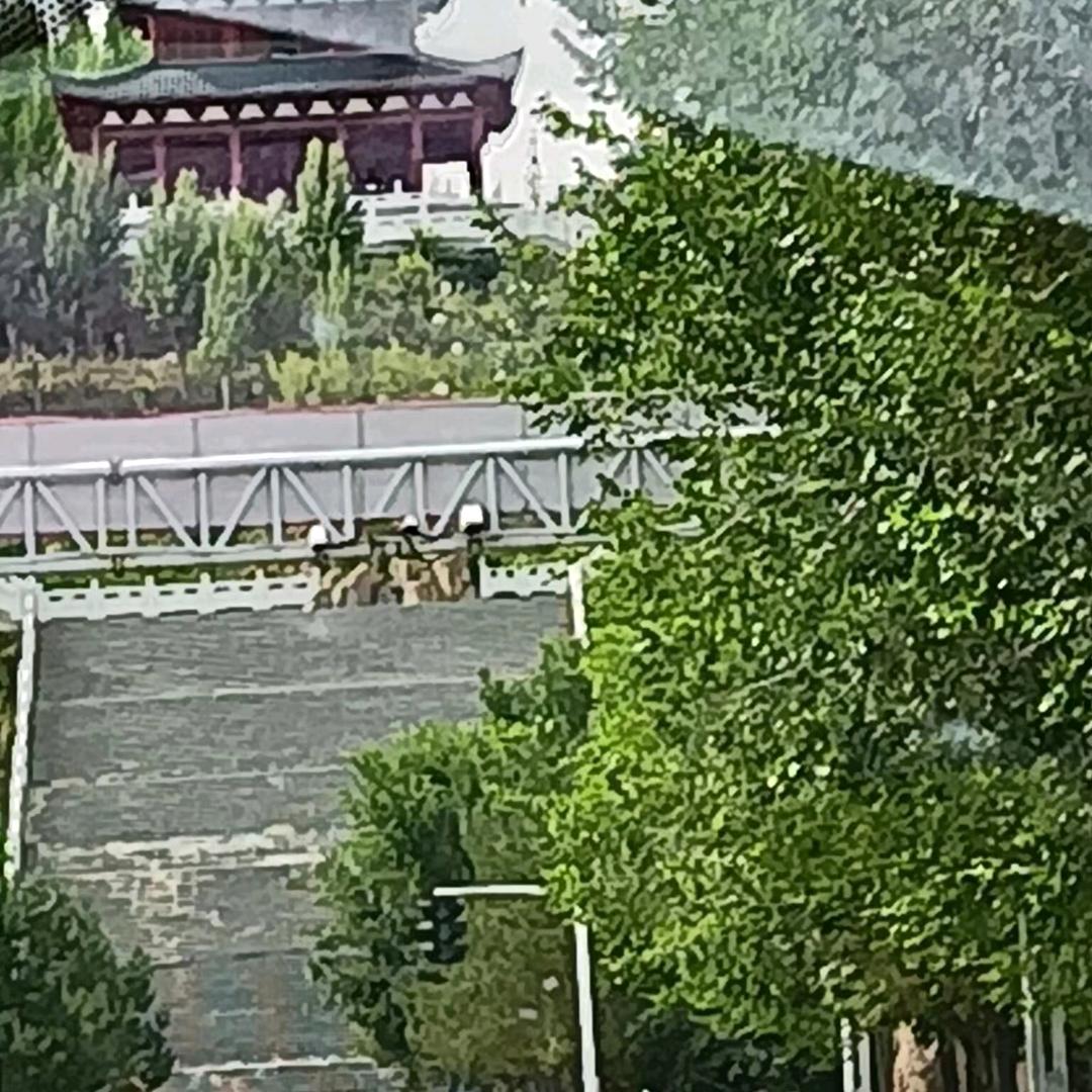 孟庆军