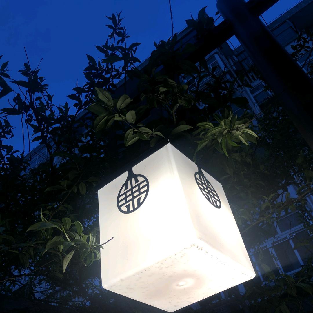 地球最后一只鸡