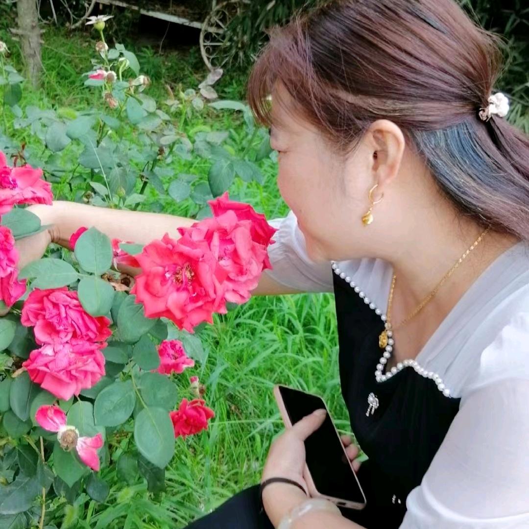 芳