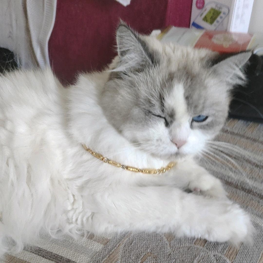 落尘