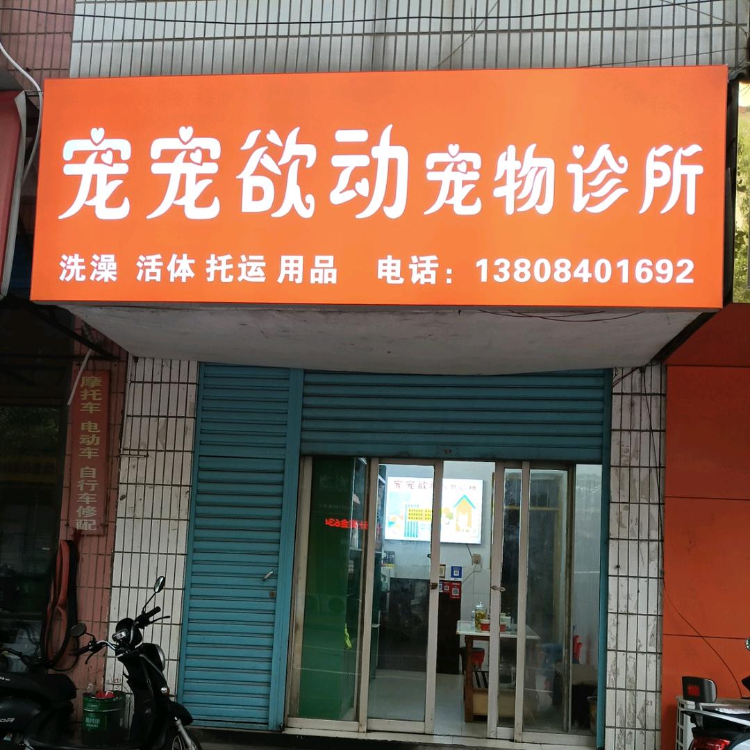 宠宠欲动 动物诊所