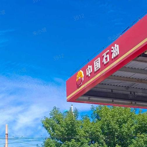 中国石油衡水安平城东（37）