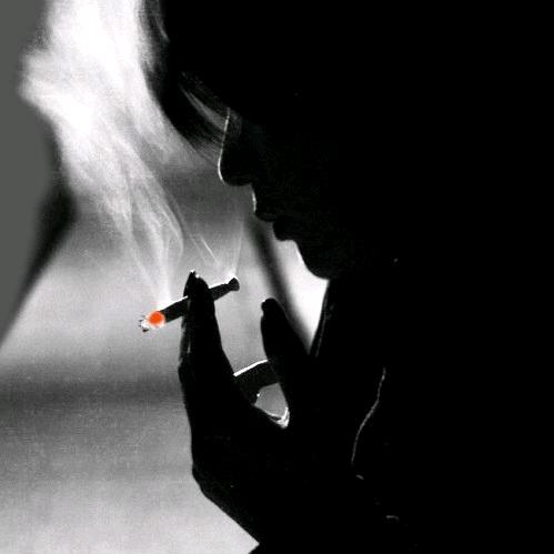 🥀এ᭄@chen康💞࿐