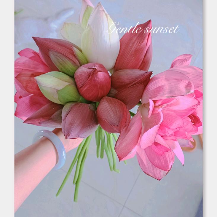🎀春天的雪🎀