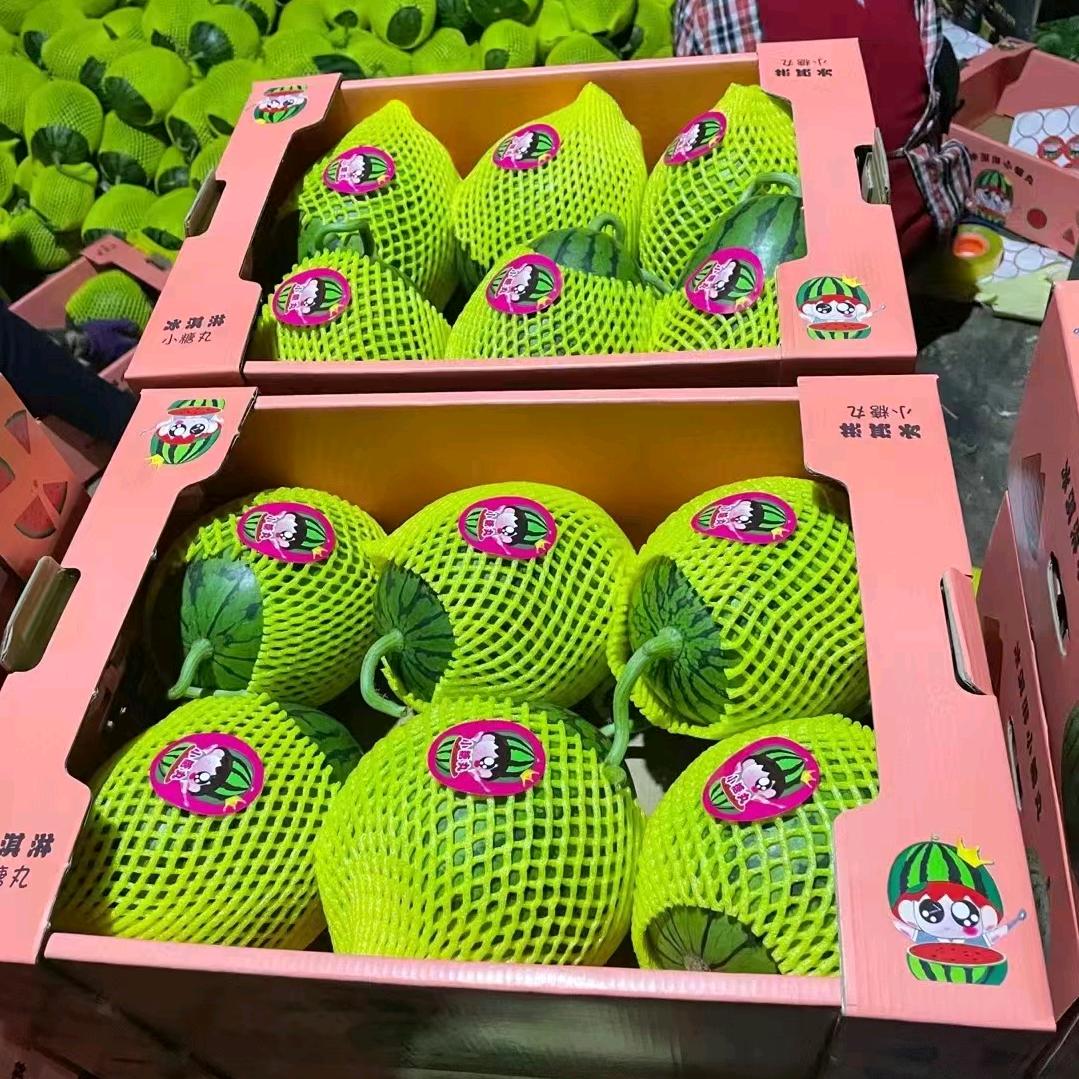 薇薇一笑小糖丸西瓜产地