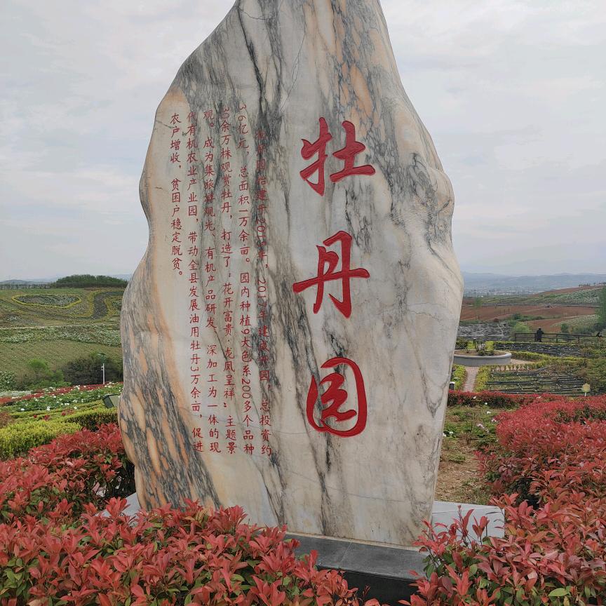 一直在奔三的路上
