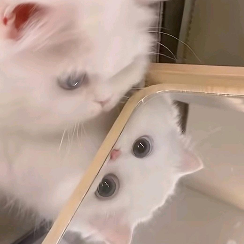 财神爷最爱的宝宝