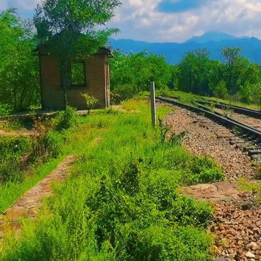 明泽之昂  888        🍳