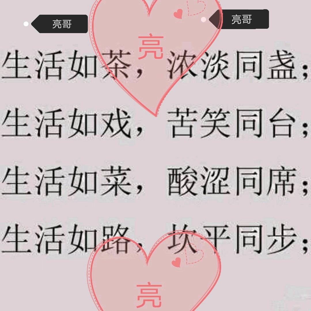 ✦亮哥𓃰