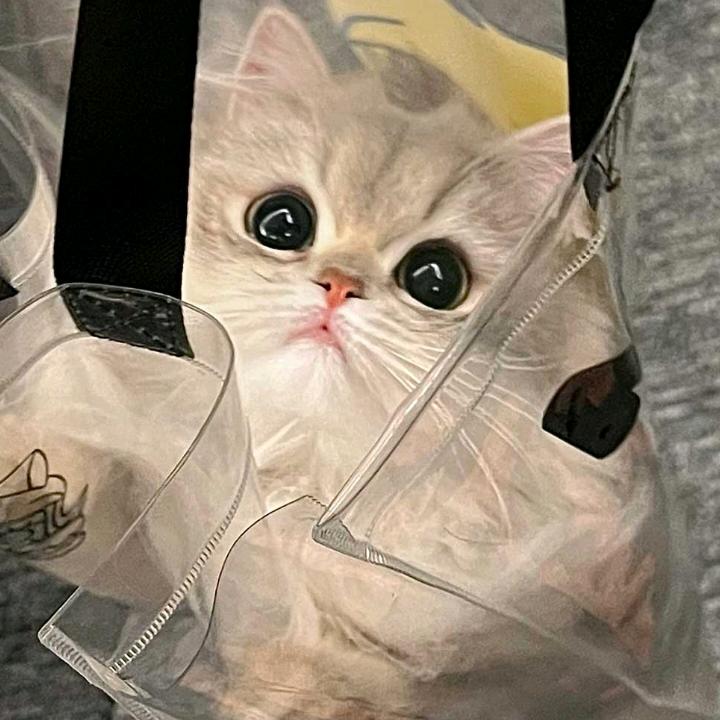你大爷