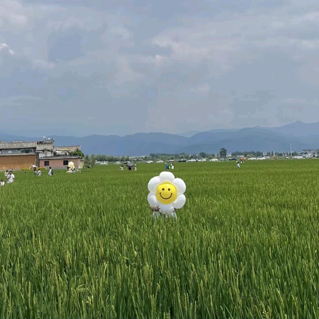 凡尘～团购达人
