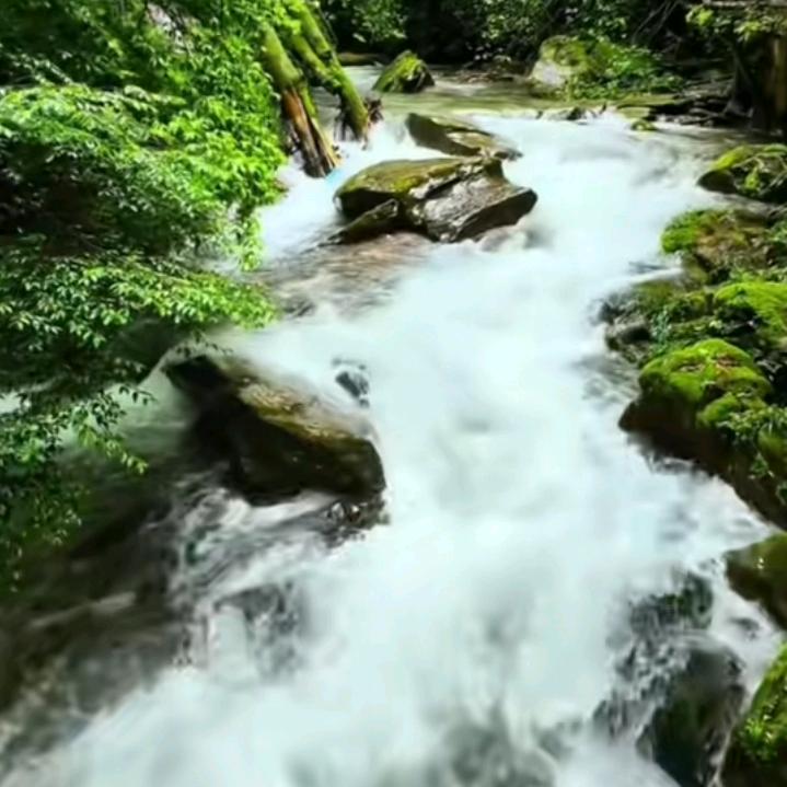 起早贪黑