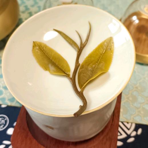 茶入我心
