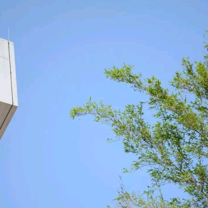 春和景明🦊