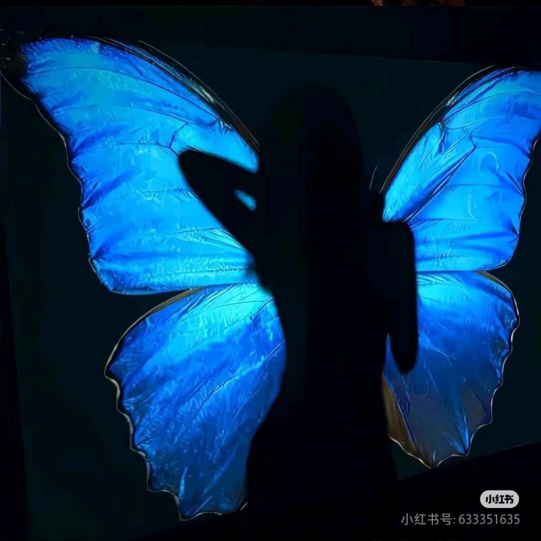 ᥫᩣ