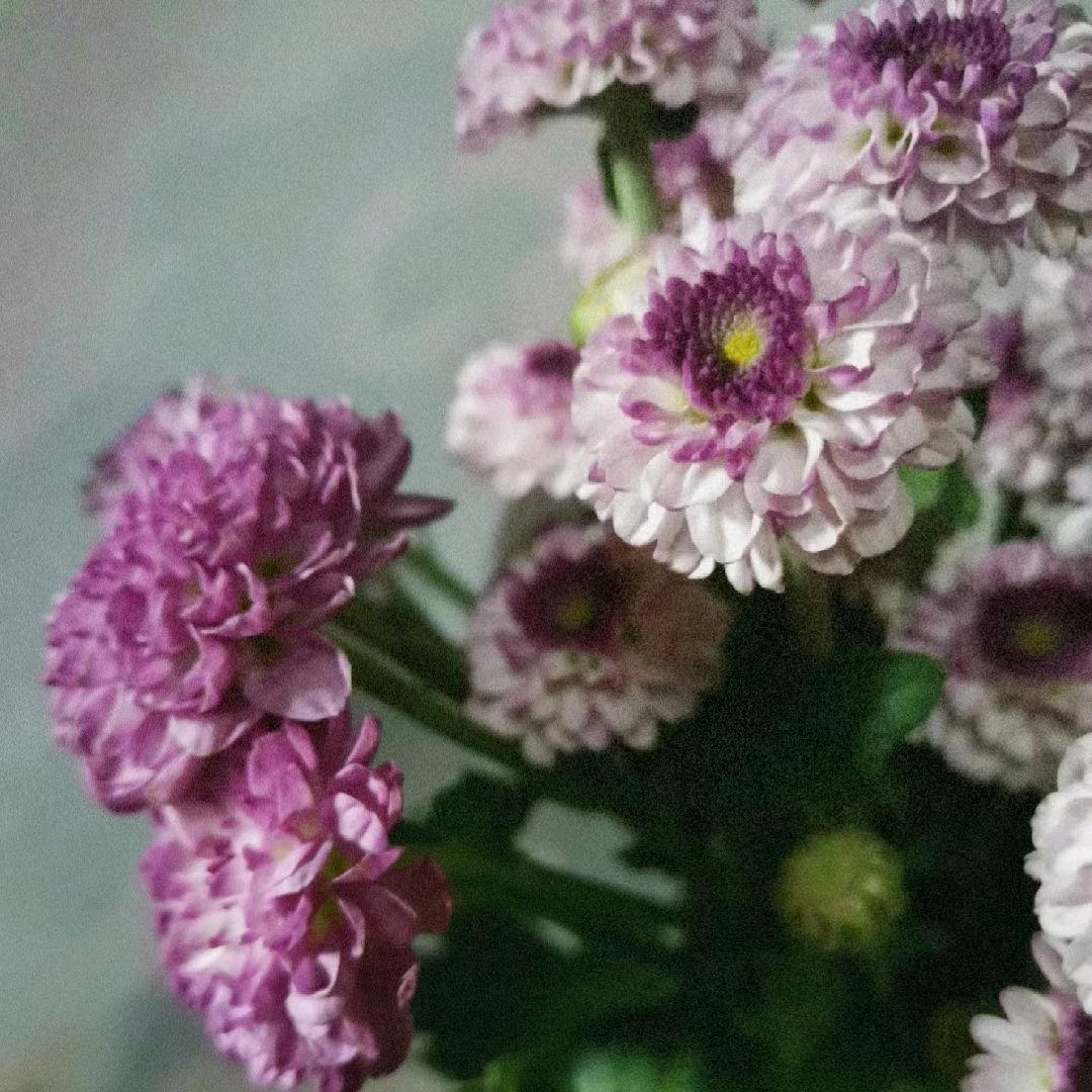 天门华斯达陈老师（初中）