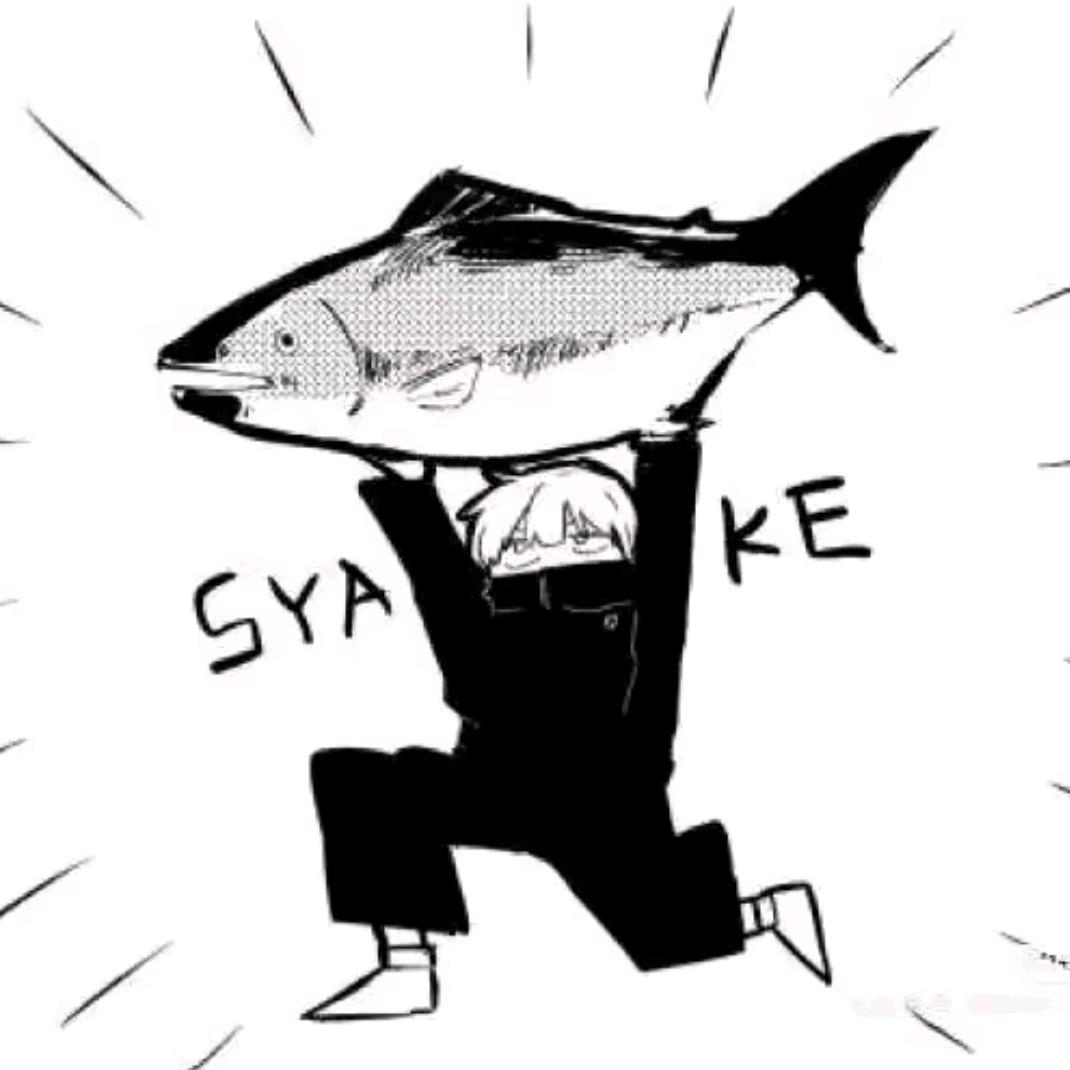不吃鱼🐟🐟