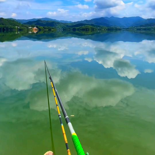 东湾青鱼垂钓