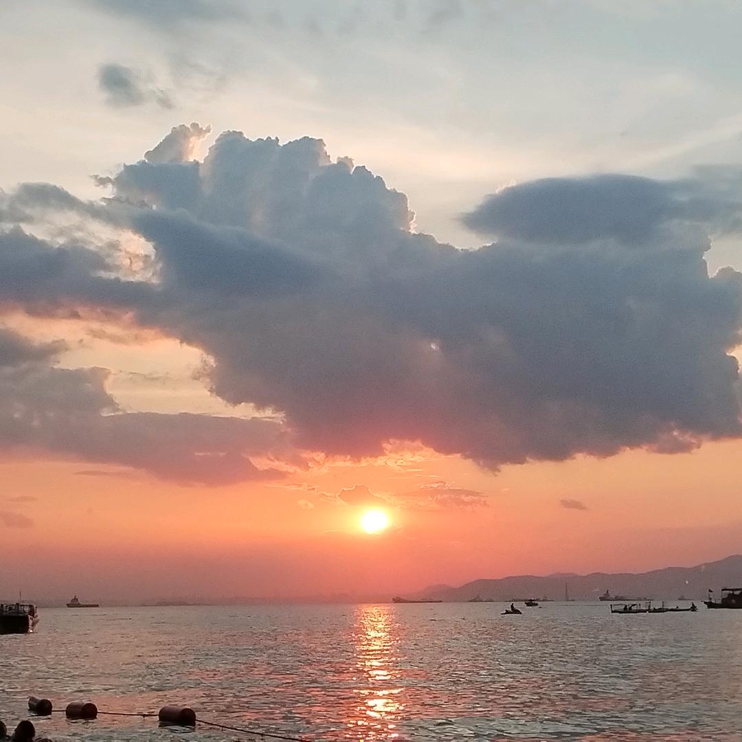 @陈年老酒的头像