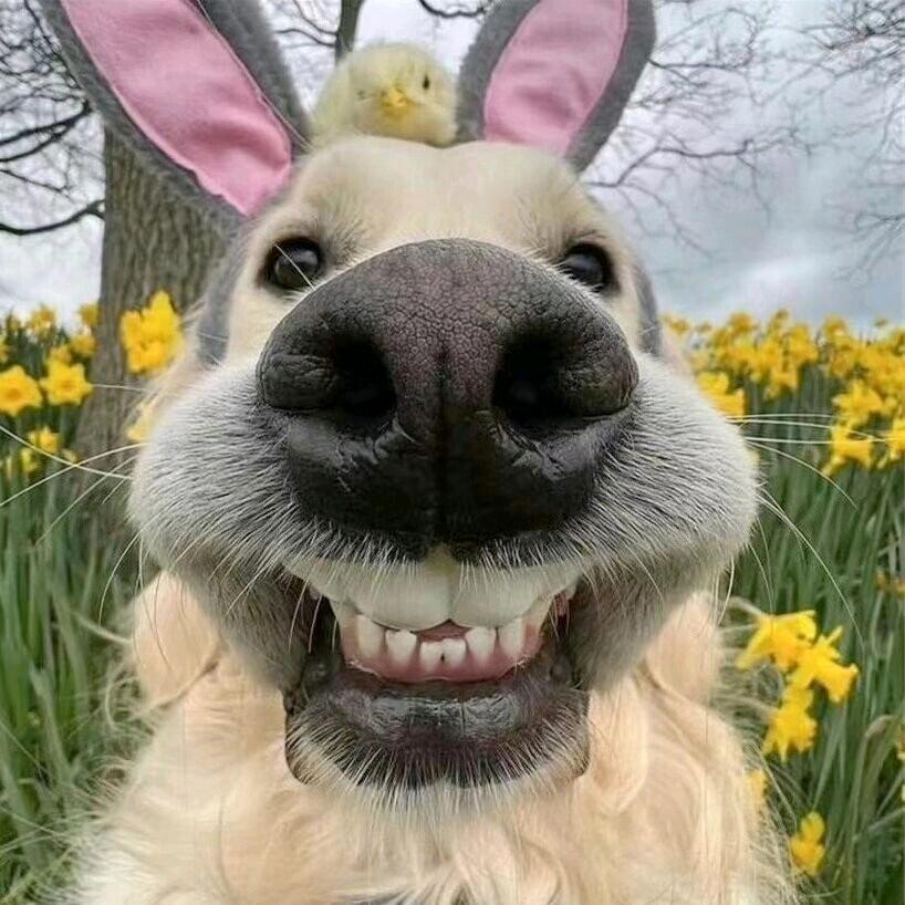 禄翔·遇湾记旅拍摄影(三亚店)