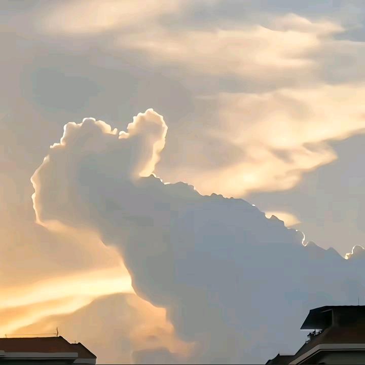 海城ㅤㅤㅤㅤㅤㅤﾠ