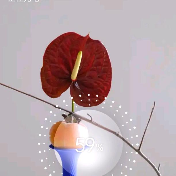 凤姐
