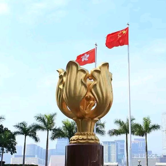 酸酸甜甜“糖”女士