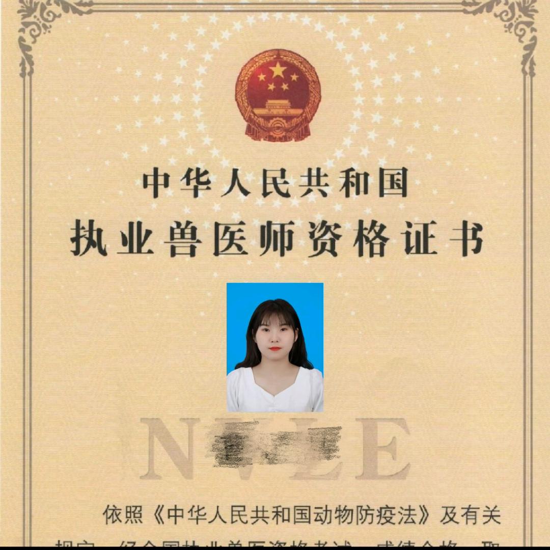 牛病技术王姐