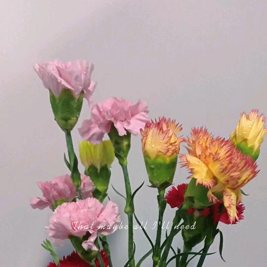 晴