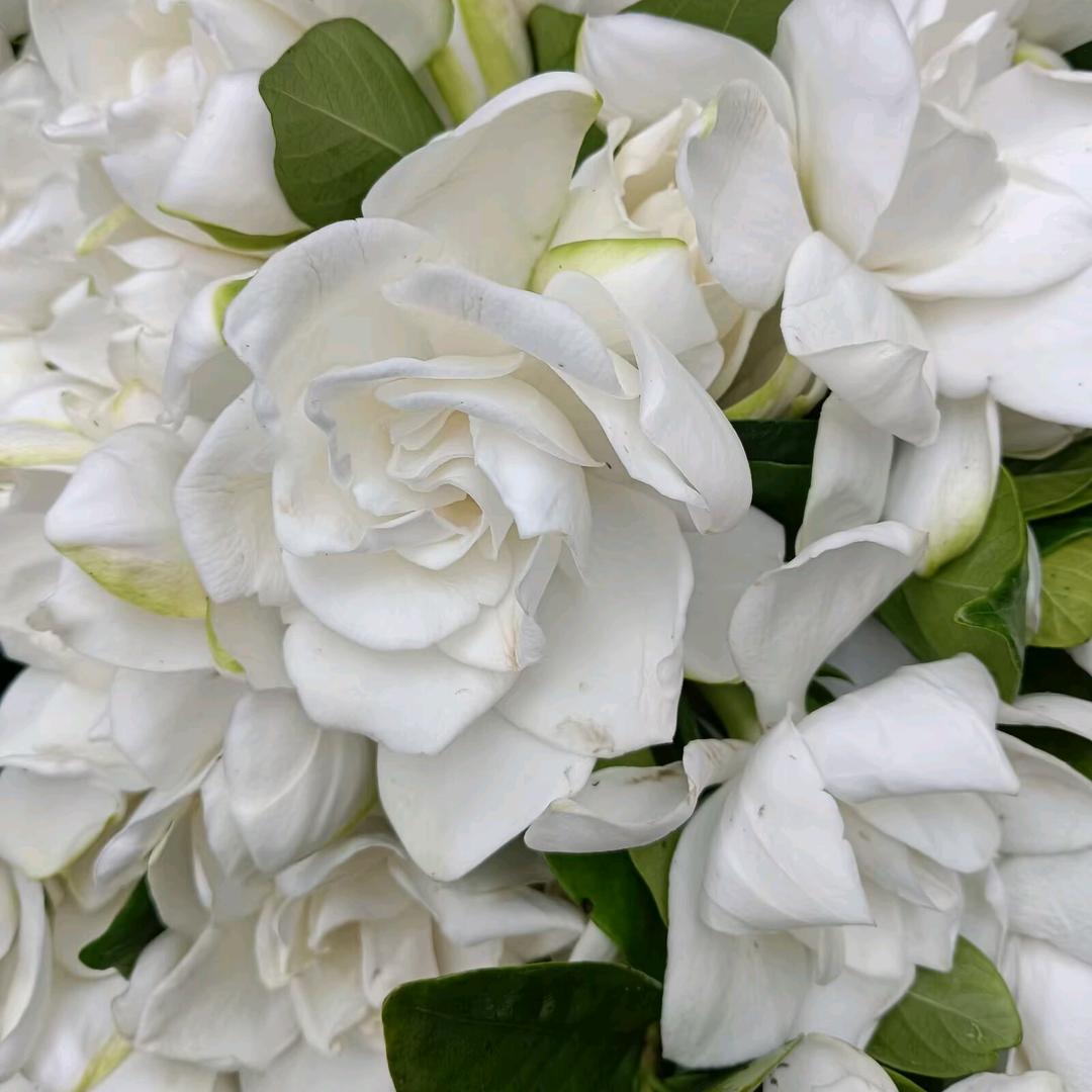 你不勇敢没人替你坚强