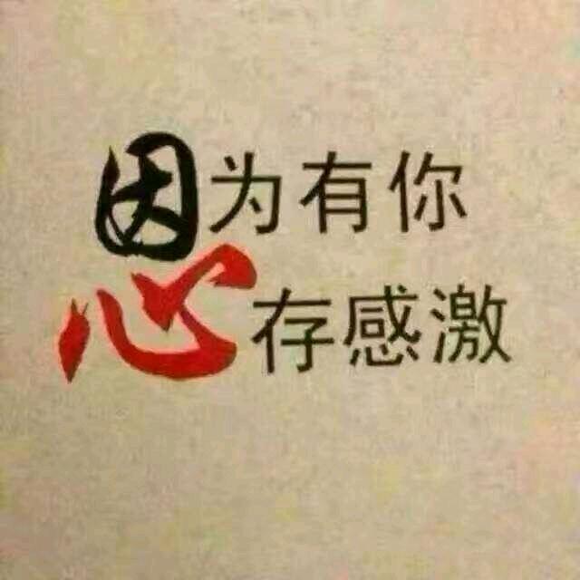 遇见候鸟的石头