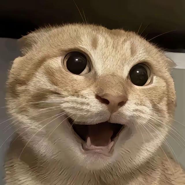 逐梦