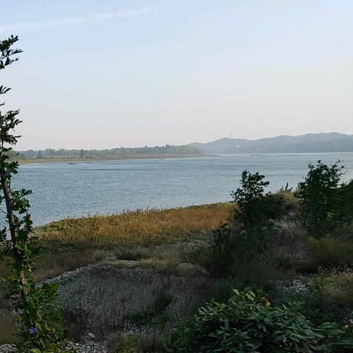 悟能