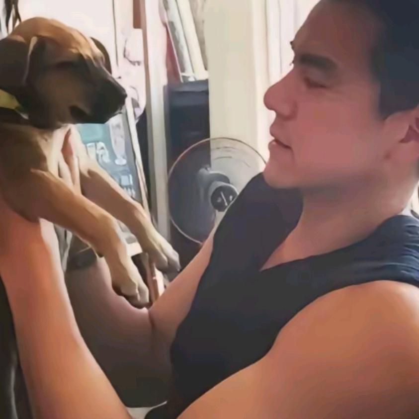 小脾气一上一下'