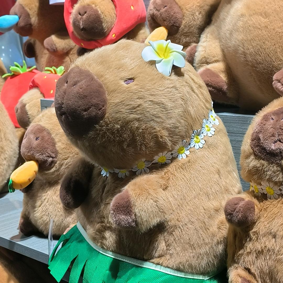 卡皮不巴拉吧啦（见黄子*6啦）