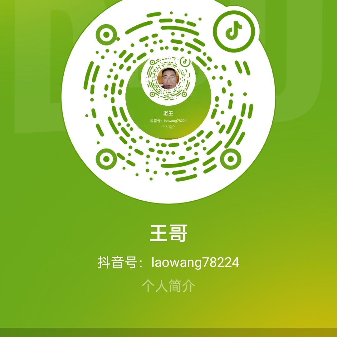 四哥