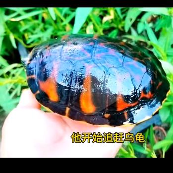 户外li海