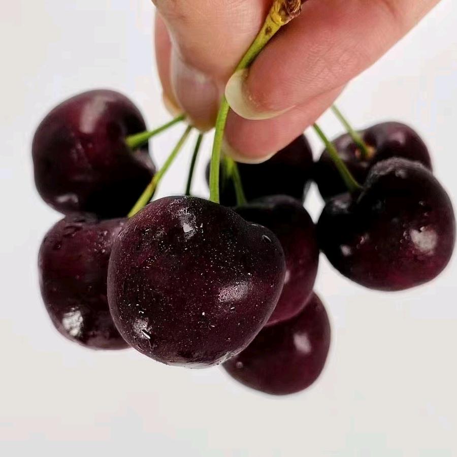 果萌生鲜果蔬