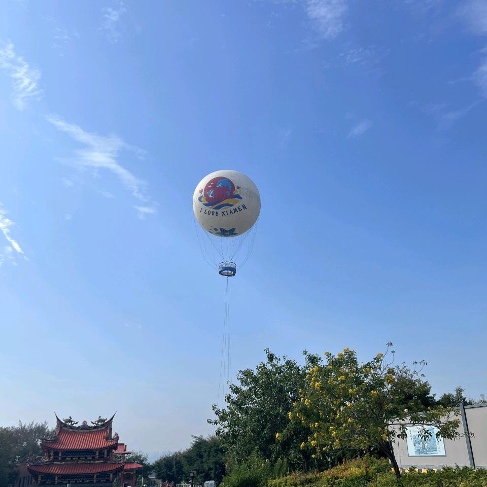 鱼摆摆🐡🐡🐡🐡