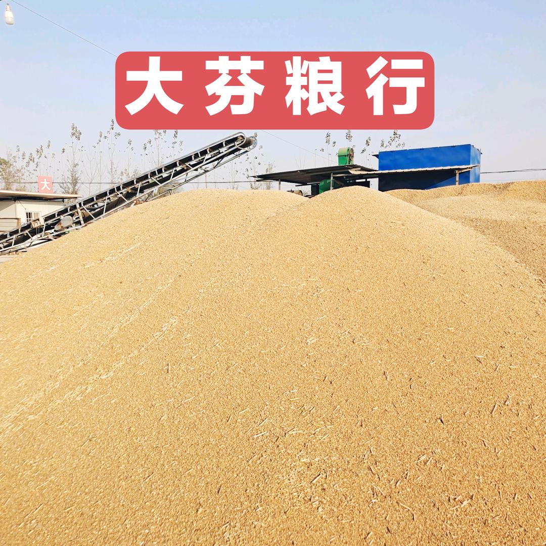 大芬少康粮行