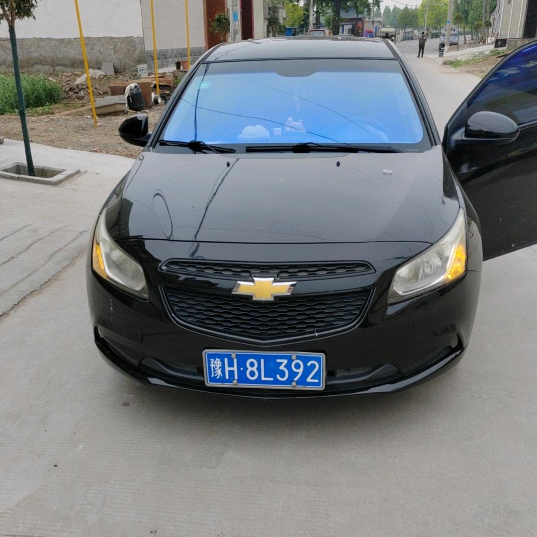专业分割母猪