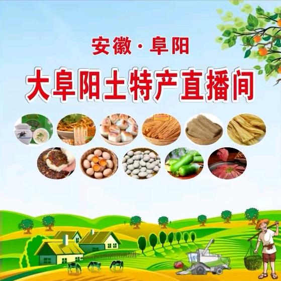 大阜阳土特产（唐氏）