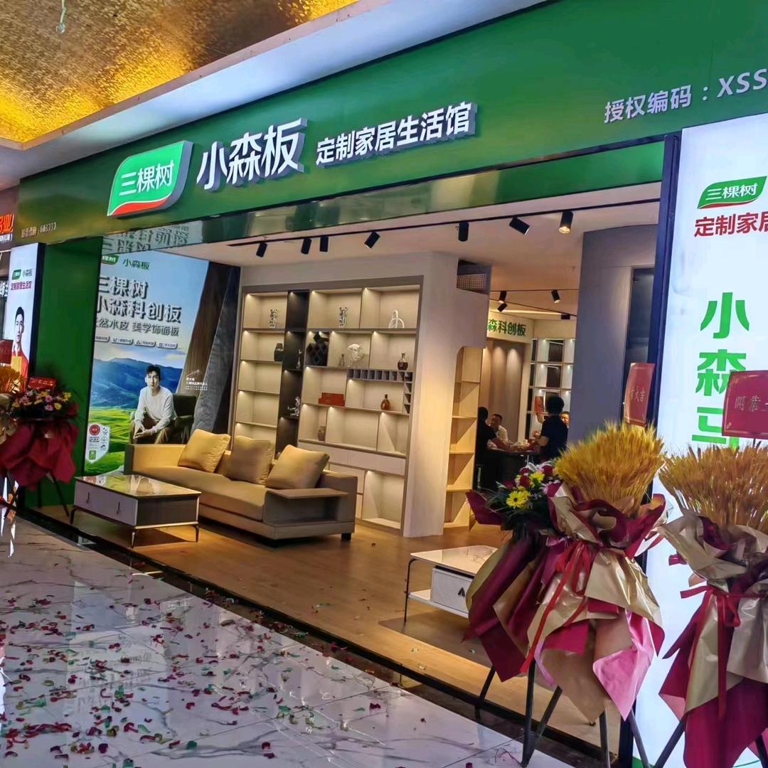 珠海中山全屋定制工厂