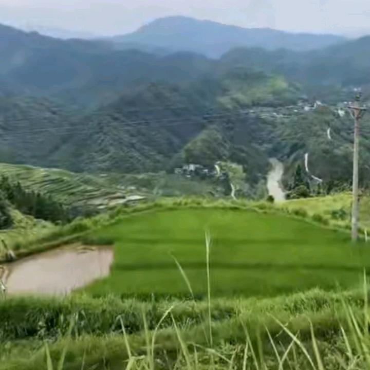 用户4886935049797