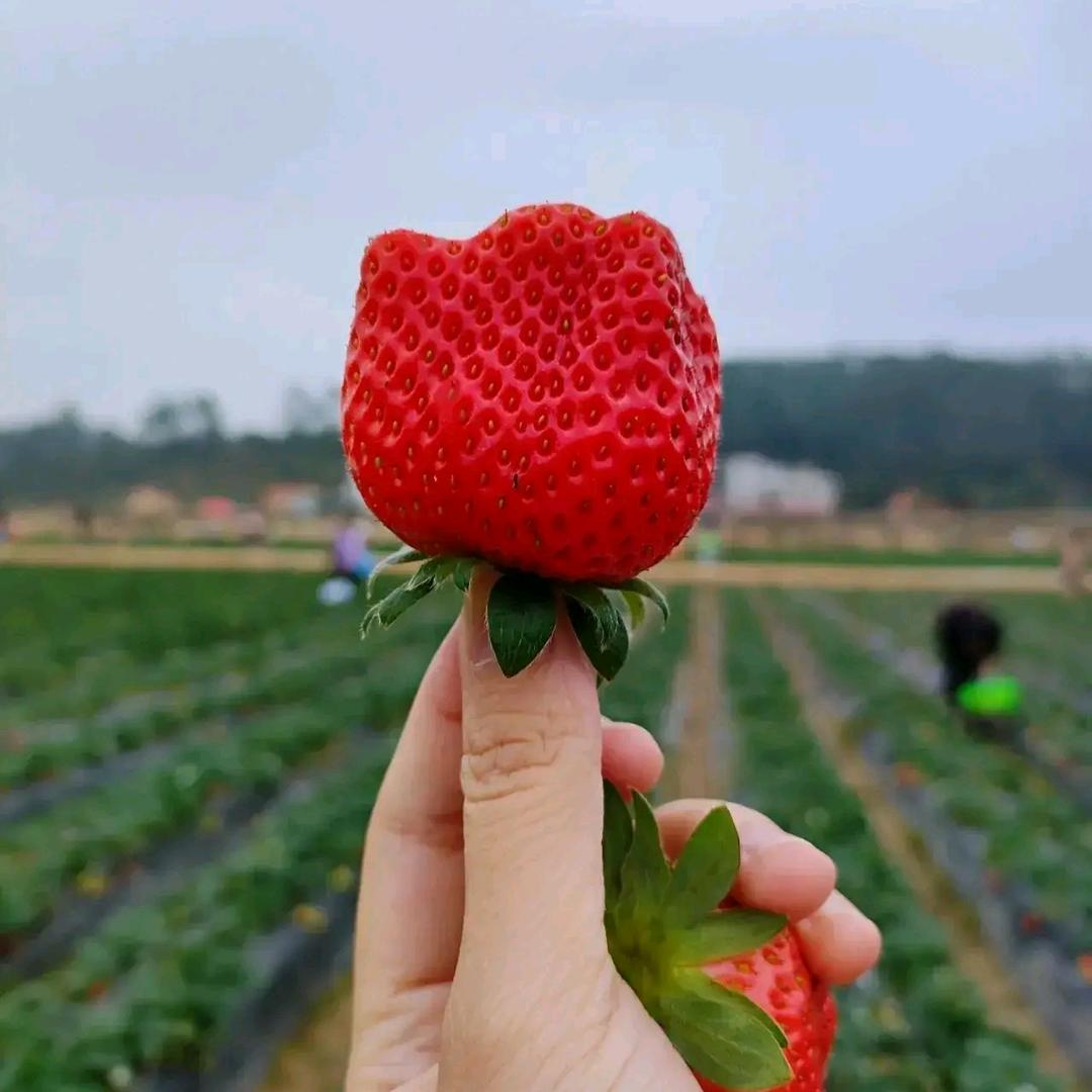 (初心