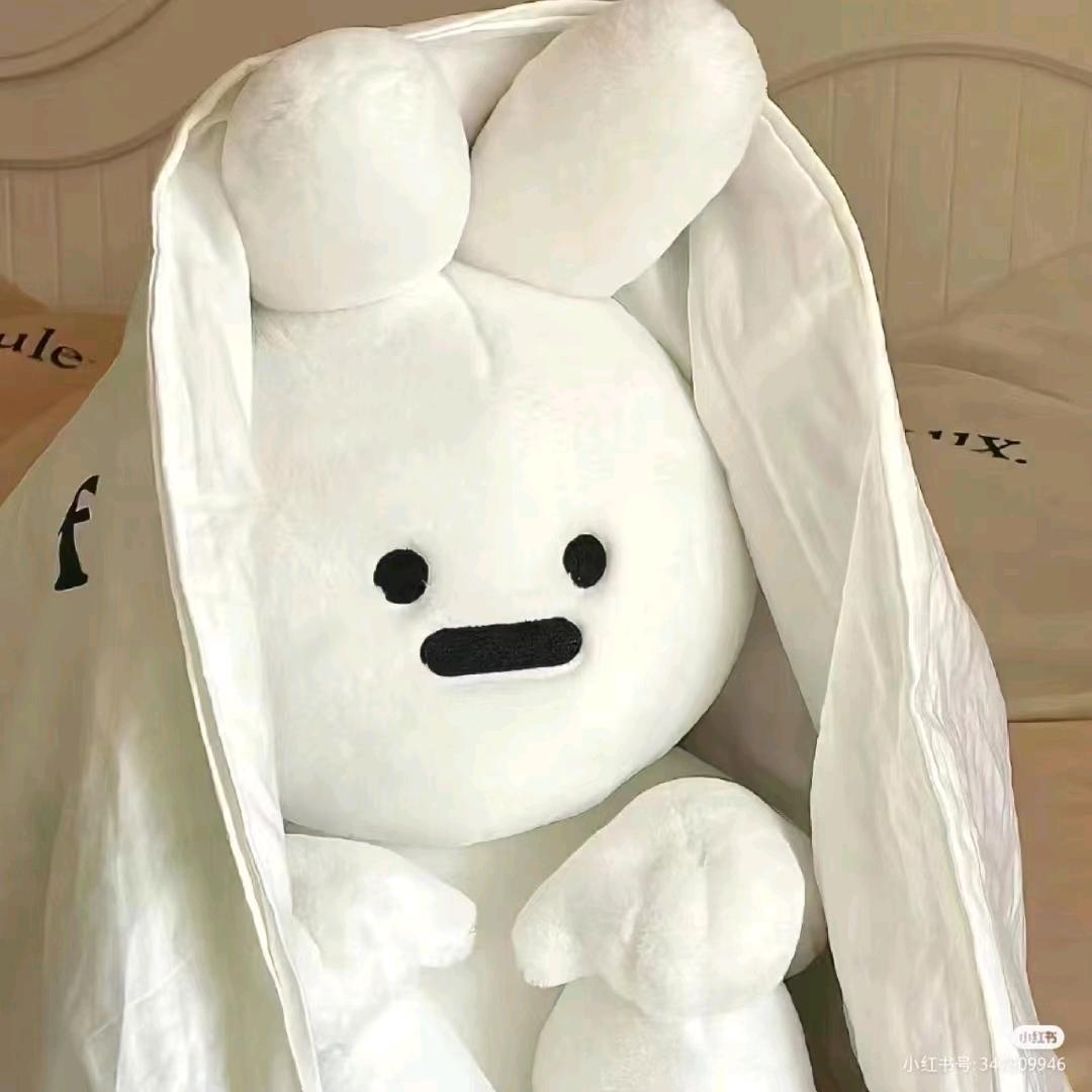 睡眠艺术家💤