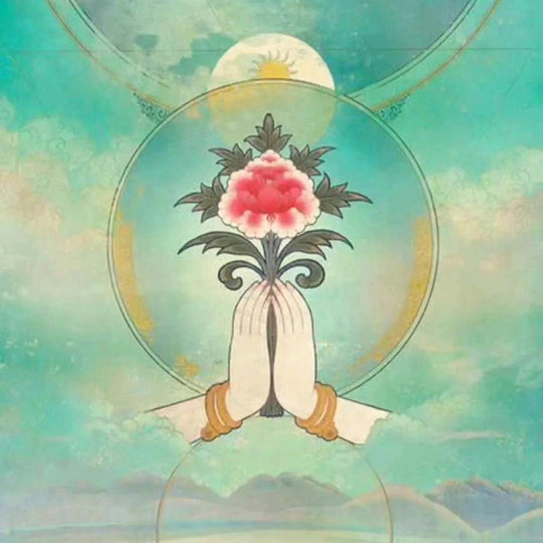 山茶花🪷🪷🪷