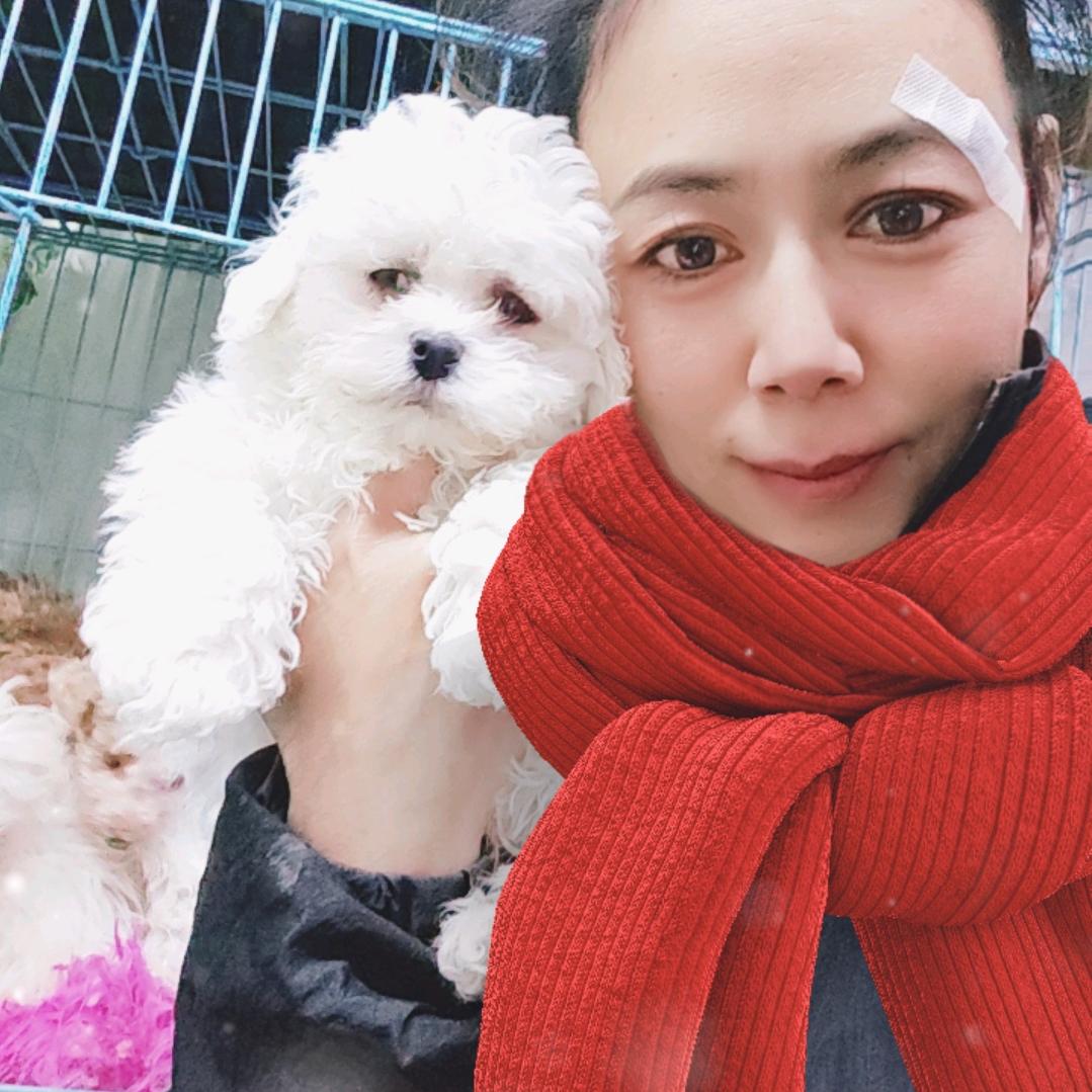 宠物乐园关注我