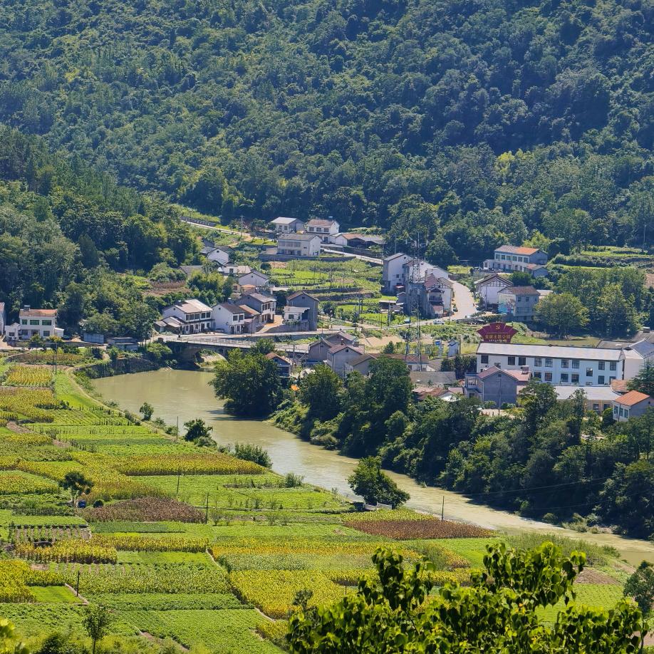 乡村老李